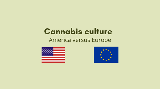 Cannabis Culture Europe Vs America